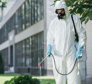 Commertial Pest Control in Ulhasnagar