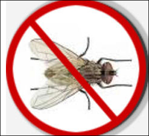 Insect Control