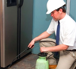 Max Herbal Pest Control Services