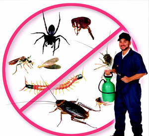 Pest Control Service Ulhasnagar
